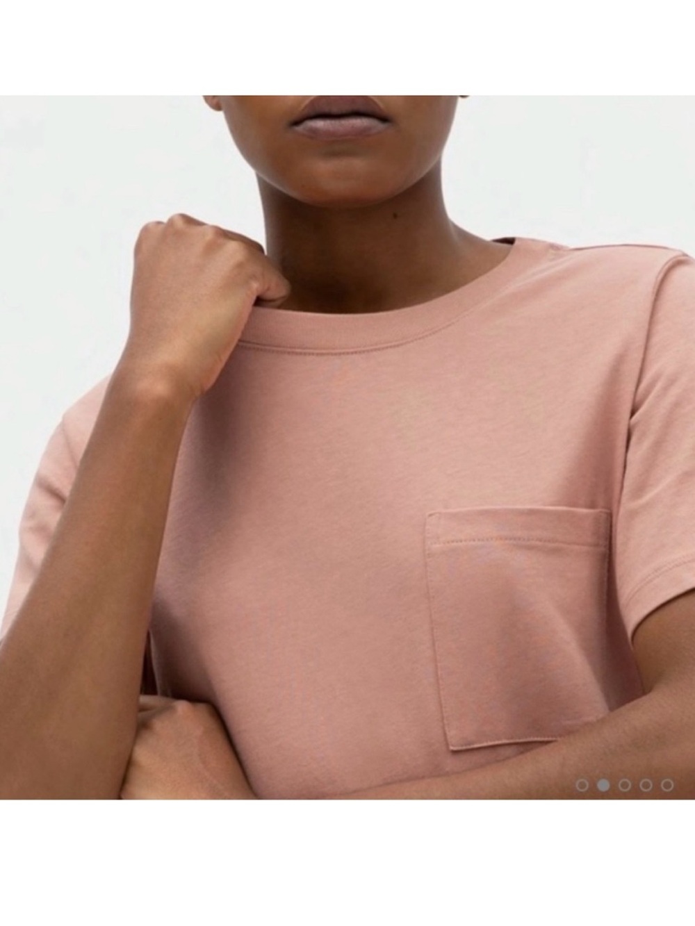 Everlane Mauve Short-Sleeve Pocket Tee Dress